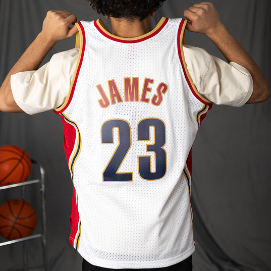 2009/2010 Fanatic Special Edition Cleveland Cavaliers Lebron James Jersey –  FibaManiac