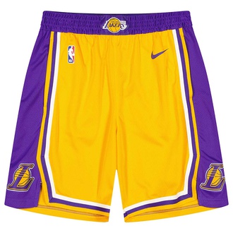 Nike Los Angeles Lakers Spotlight Dri-FIT NBA Hoodie Purple - FIELD  PURPLE/AMARILLO