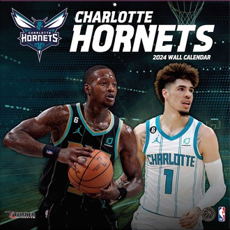 1991-1996 Charlotte Hornets Jersey Hornets Champion Jersey 