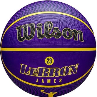 NBA LOS ANGELES LAKERS LEBRON JAMES OUTDOOR BASKETBALL