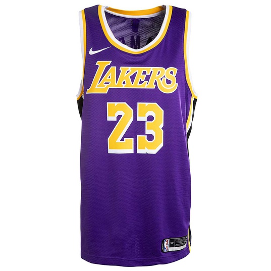 Nike Basketball NBA LA Lakers Lebron James Swingman jersey vest in