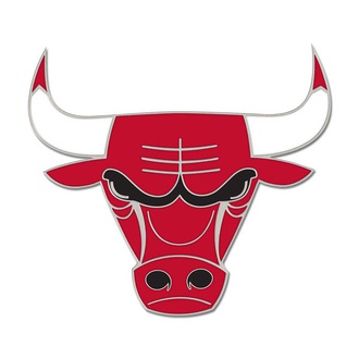 NBA Chicago Bulls Collectors Pin