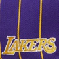 NBA LOS ANGELES LAKERS TEAM PINSTRIPE SNAPBACK CAP  large image number 3