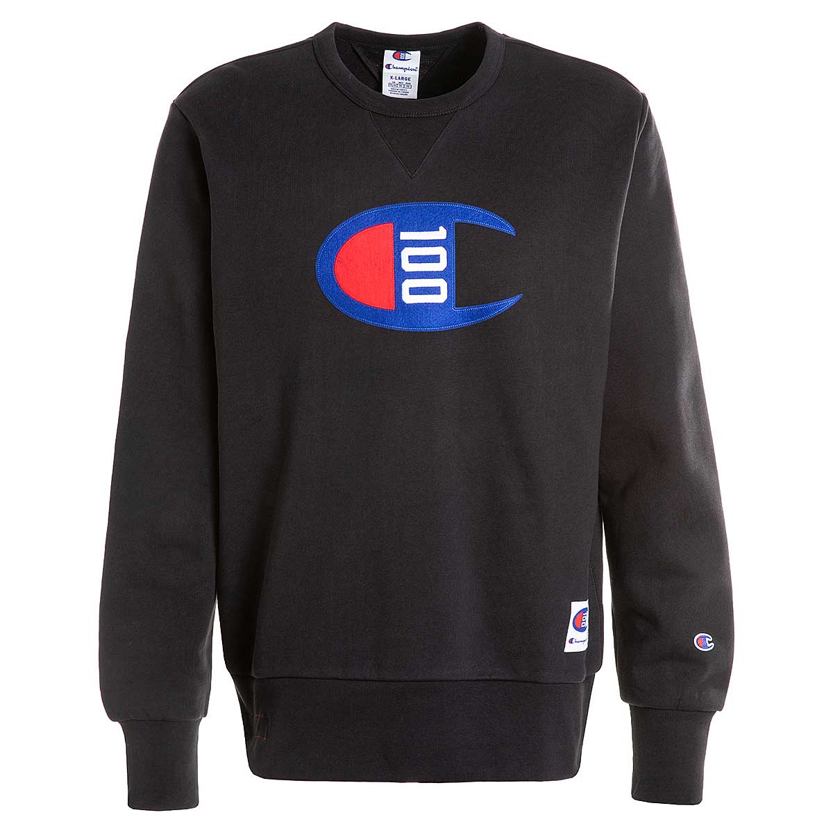 champion 100 sweater